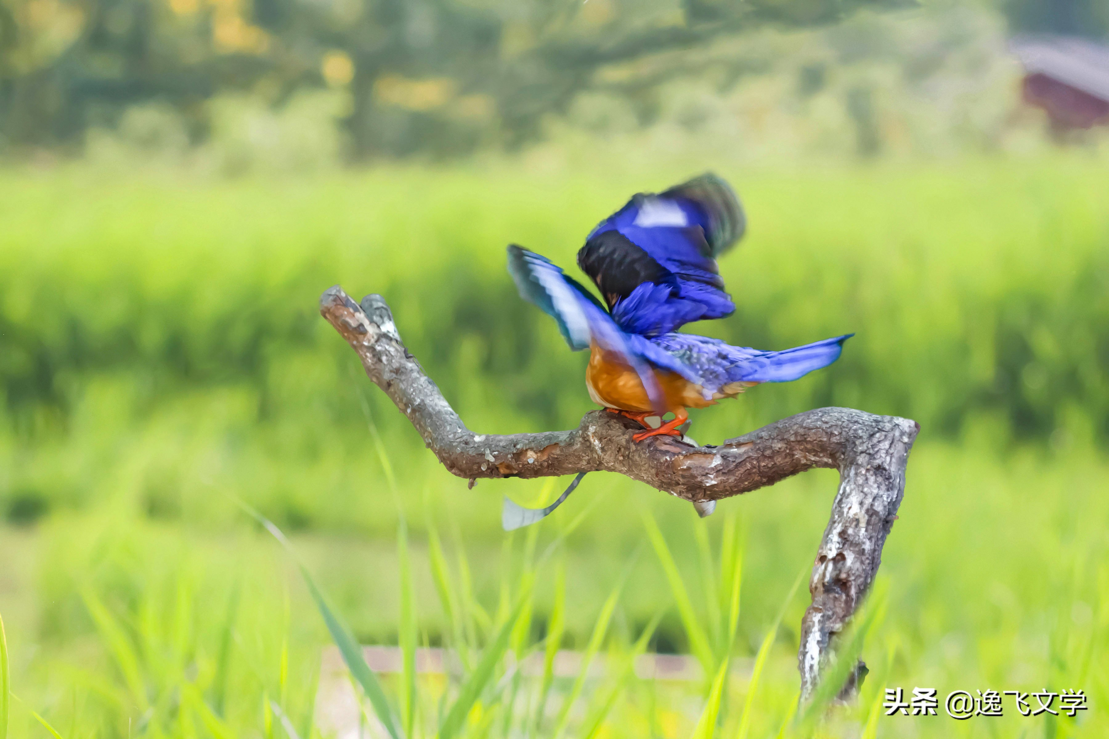 摄影纪实战争,摄影现代战争