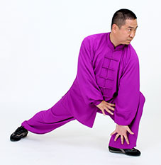 心意拳必学三招,心意六合拳十二把劲练法