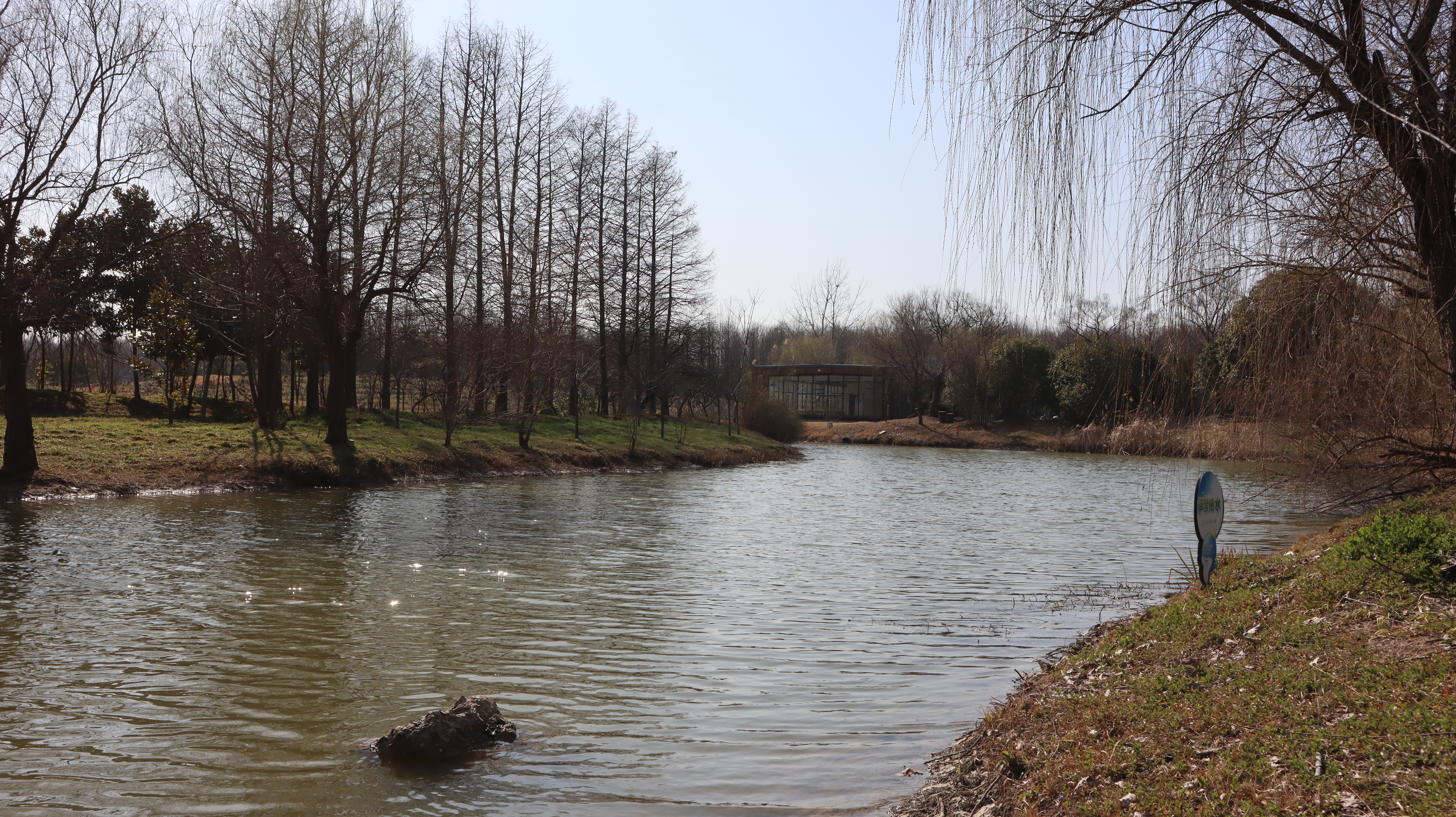 扬州扬子津郊野公园,扬州城市书房附近的公园