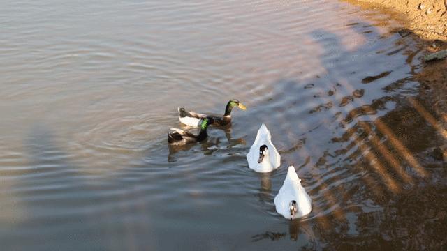 天下最美湖泊西湖,比西湖更美的湖泊