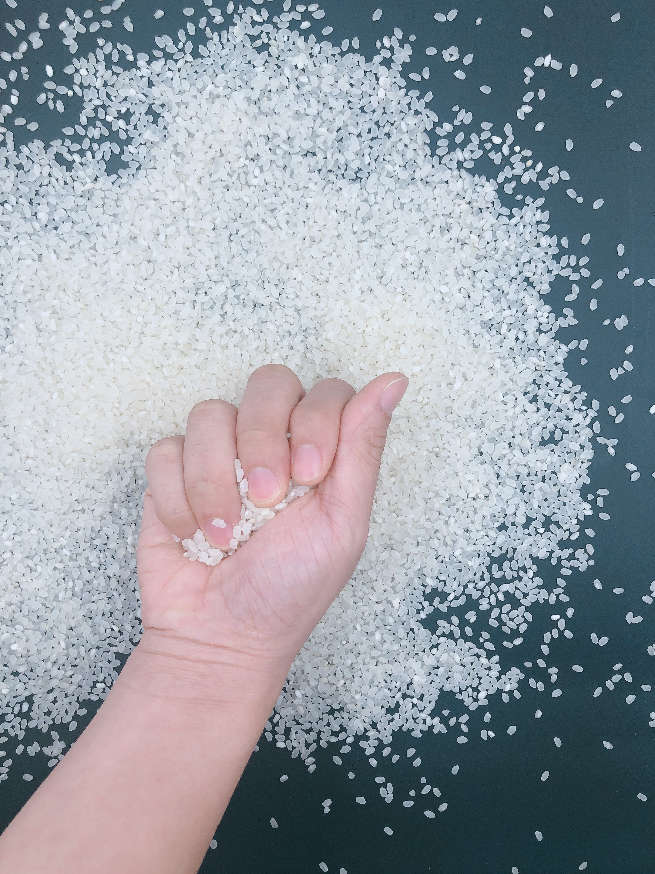 辨认好的大米的方法,区分大米的小窍门