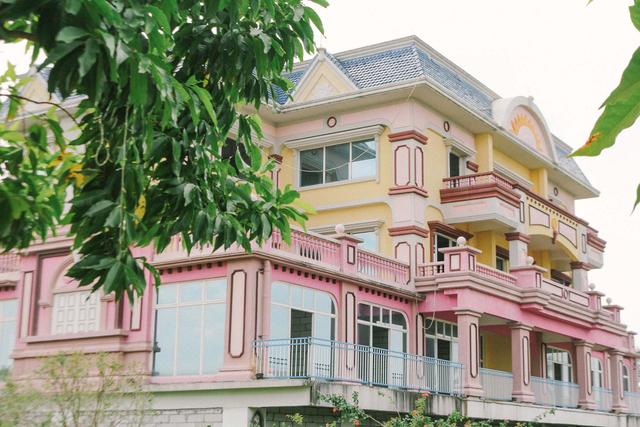 广州南沙百万葵园,广州百万葵园景点图片大全