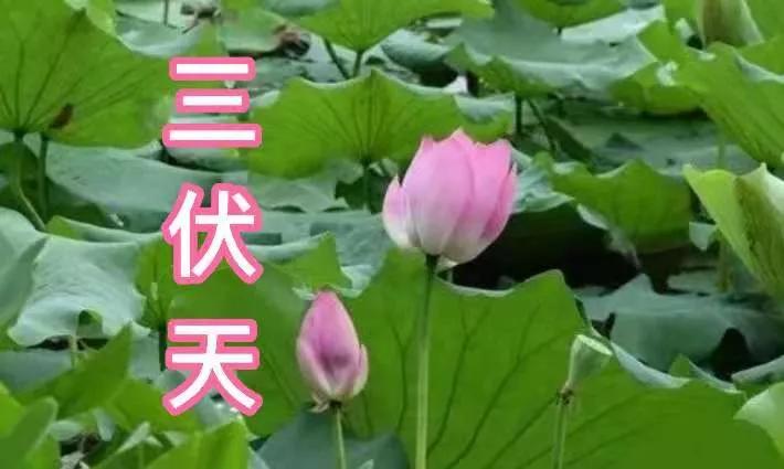 农历六月二十三下雨什么说法,六月十三下雨是什么说法