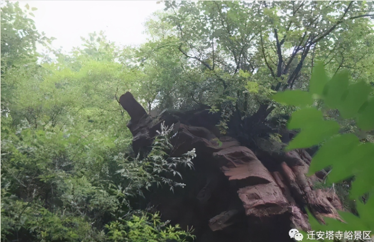 美丽乡村行欣赏沿途风景,美丽乡村雾景随拍