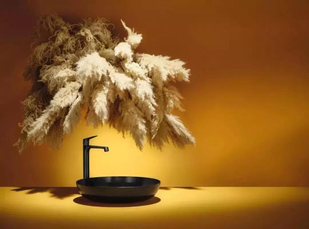 色“诱上海厨卫展！科勒、高斯...谁最出色