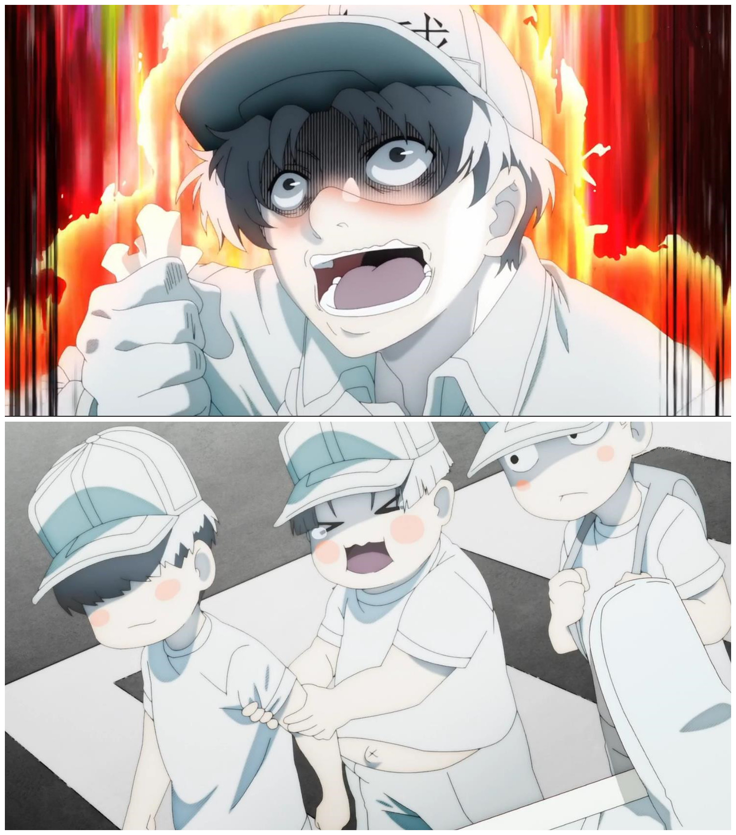 黑历史曝光！NK姐贵是“小公主”，白细胞曾为胖子，反差萌亮了