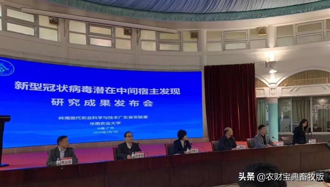 重磅！华农专家发布会详细解读：穿山甲为新型冠状病毒潜在中间宿主