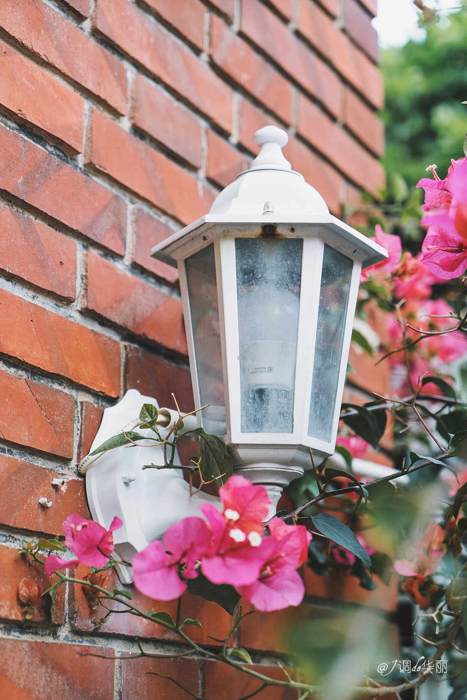 厦门没去过的地方,厦门没去过的景点