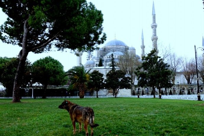 土耳其世界文化遗产古堡,伊斯坦布尔的历史古迹