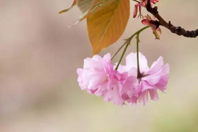 让你醍醐灌顶的一句话，句句实诚，总有一句是你最喜欢的！