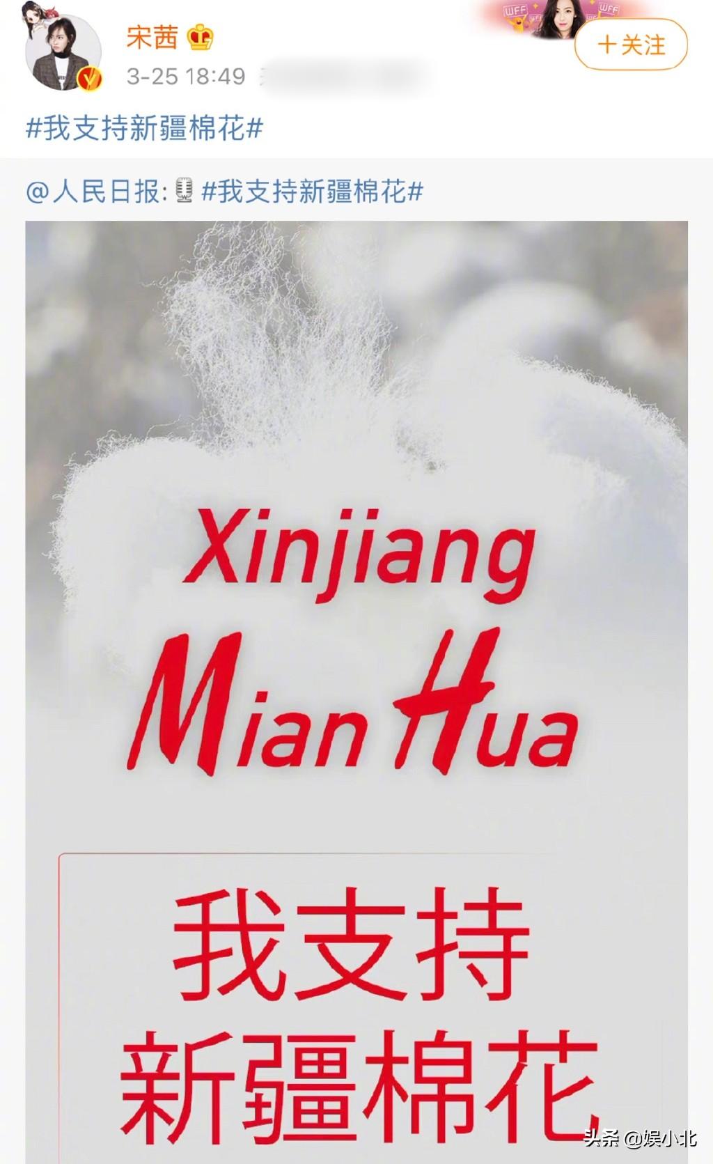 娱乐圈热点点评,娱乐热点点评