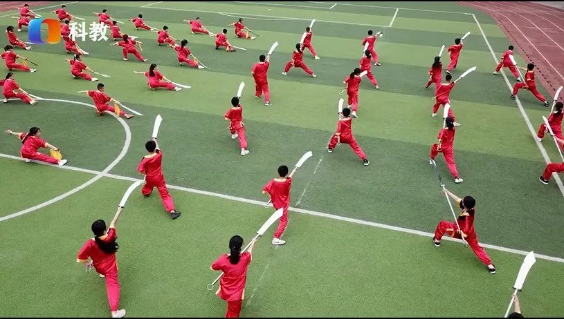 重庆市两江新区人和小学校,重庆市九龙坡区人和小学的简介