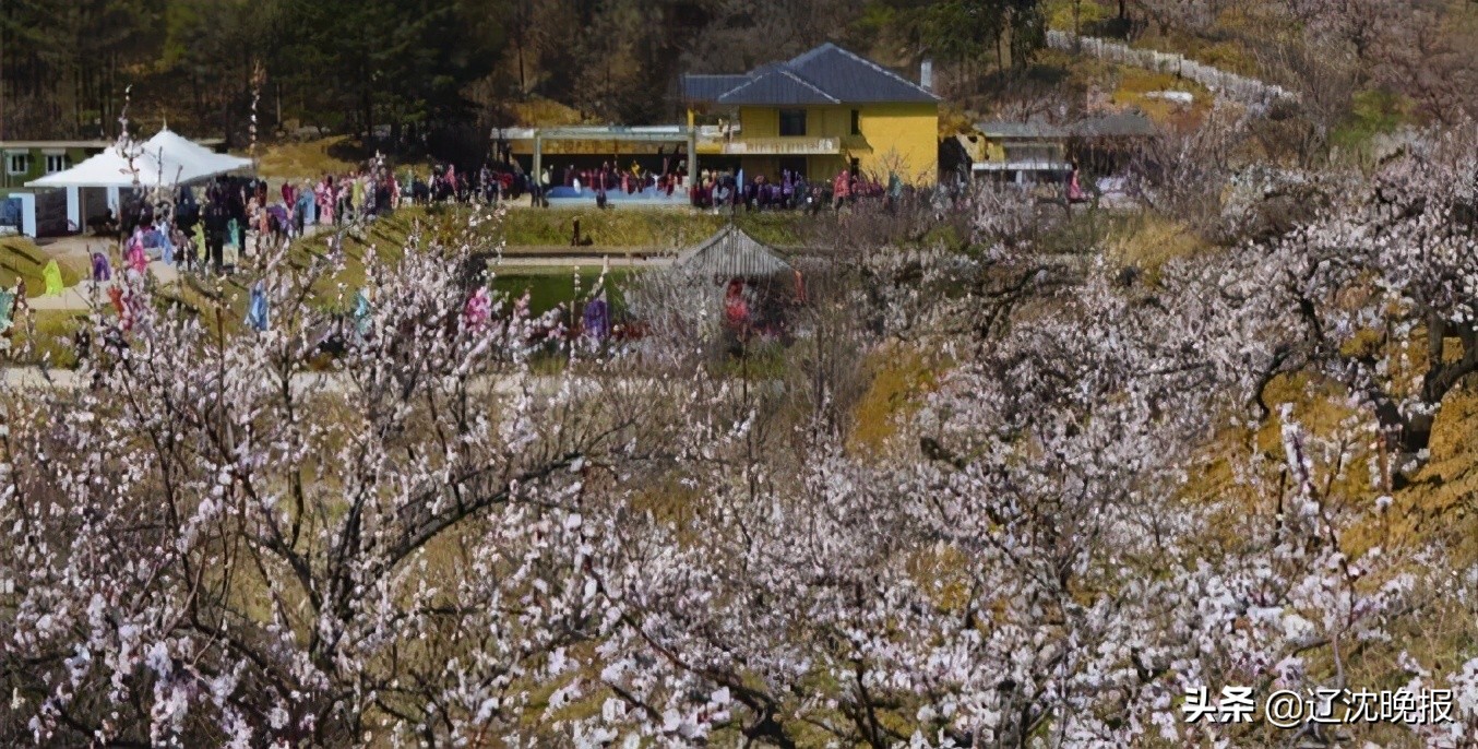 辽宁十大赏花景点,五一观花辽宁新去处