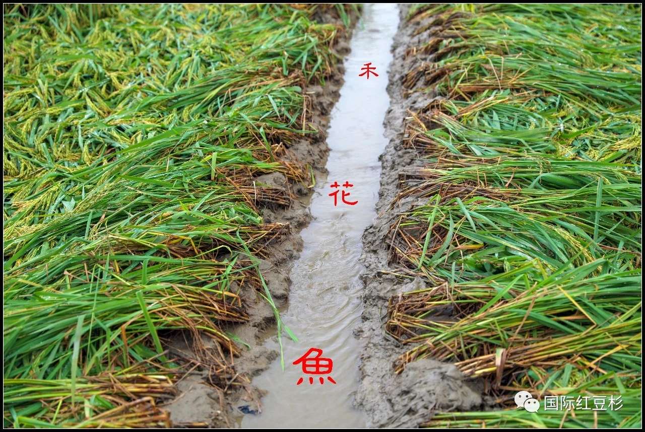 全州龙水航拍,全州龙水