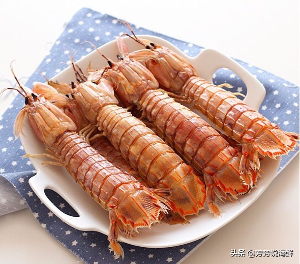 说说海鲜那些事，今日之虾爬子篇，读后让您会有更大收获