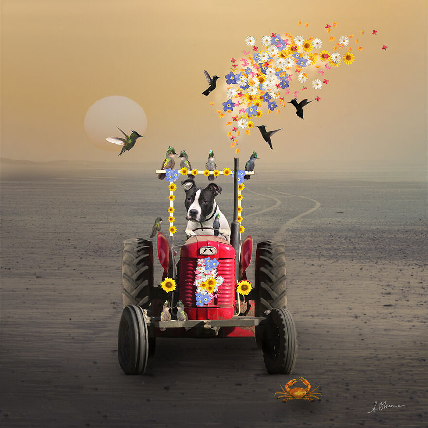 创意ps合成视频大全,ps教程创意合成脑洞大开海报教程