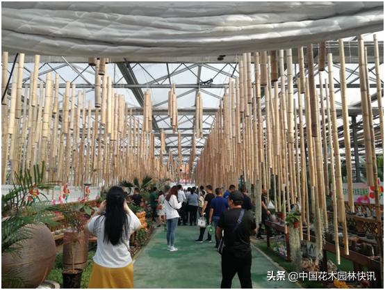 行业盛会视频,行业精英齐聚展会