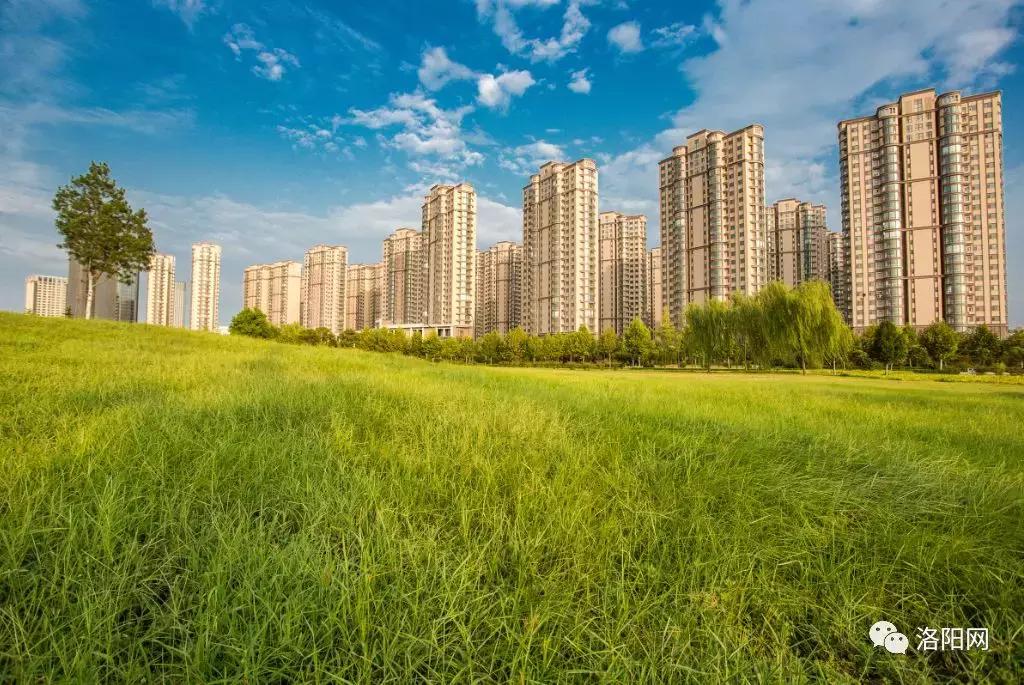 洛阳牡丹花会邀请,洛阳邀请全世界人民看牡丹