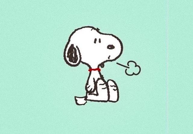 衣服吊牌没了拒绝退款,衣服无吊牌可以退货吗怎么退