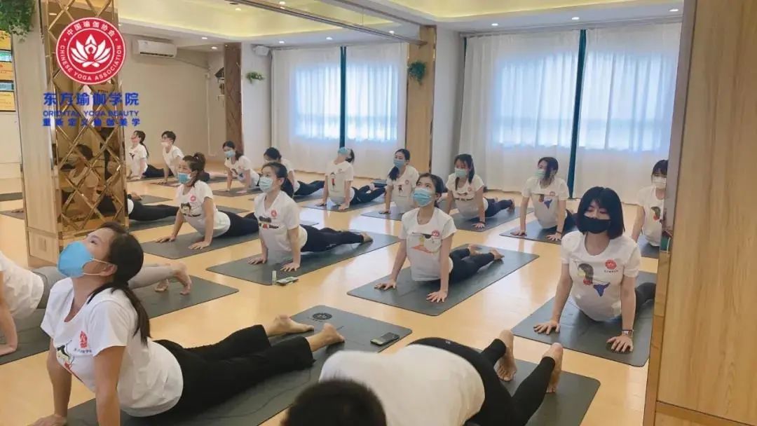 零基础学瑜伽学院,东方瑜伽学院太极瑜伽