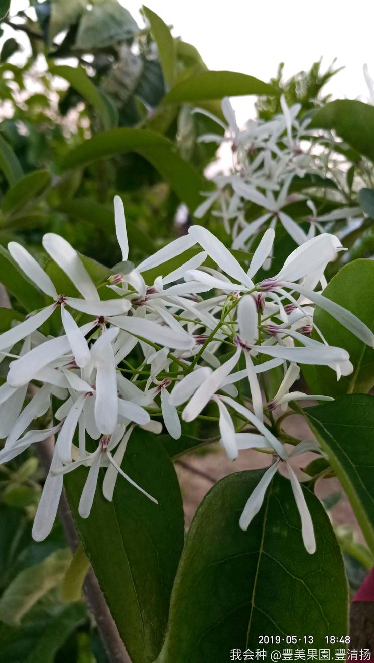 诗和远方在身边完整版,诗和远方在身边