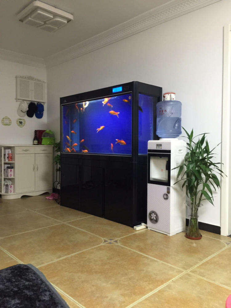 小型鱼缸养金鱼过滤哪种好用,养金鱼鱼缸需要过滤吗