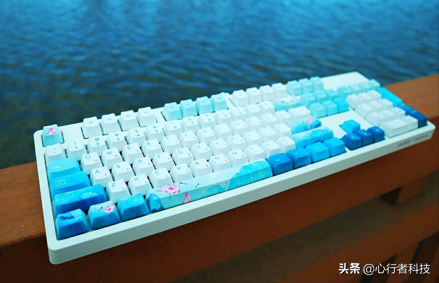 蜻蜓点水立指尖——黑爵蜻蜓键茶轴体验