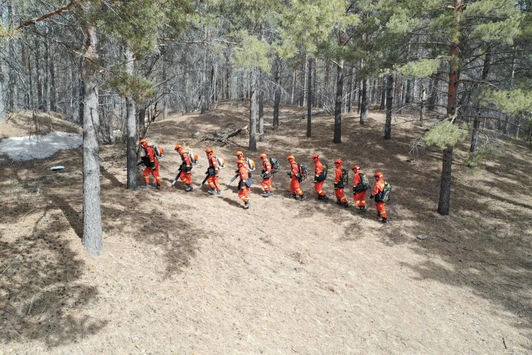 清明节防火宣传新举措,全力确保清明节森林防火安全