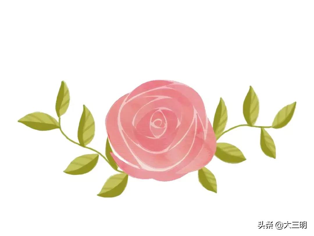 大事记丨2019,附小向您报告