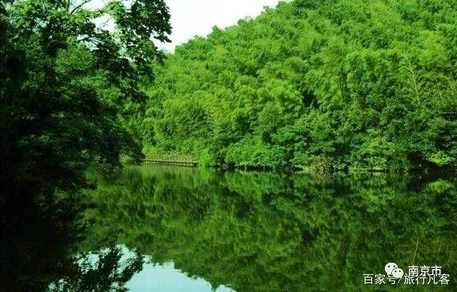 南京江宁石塘竹海景区图片,南京石塘竹海景区