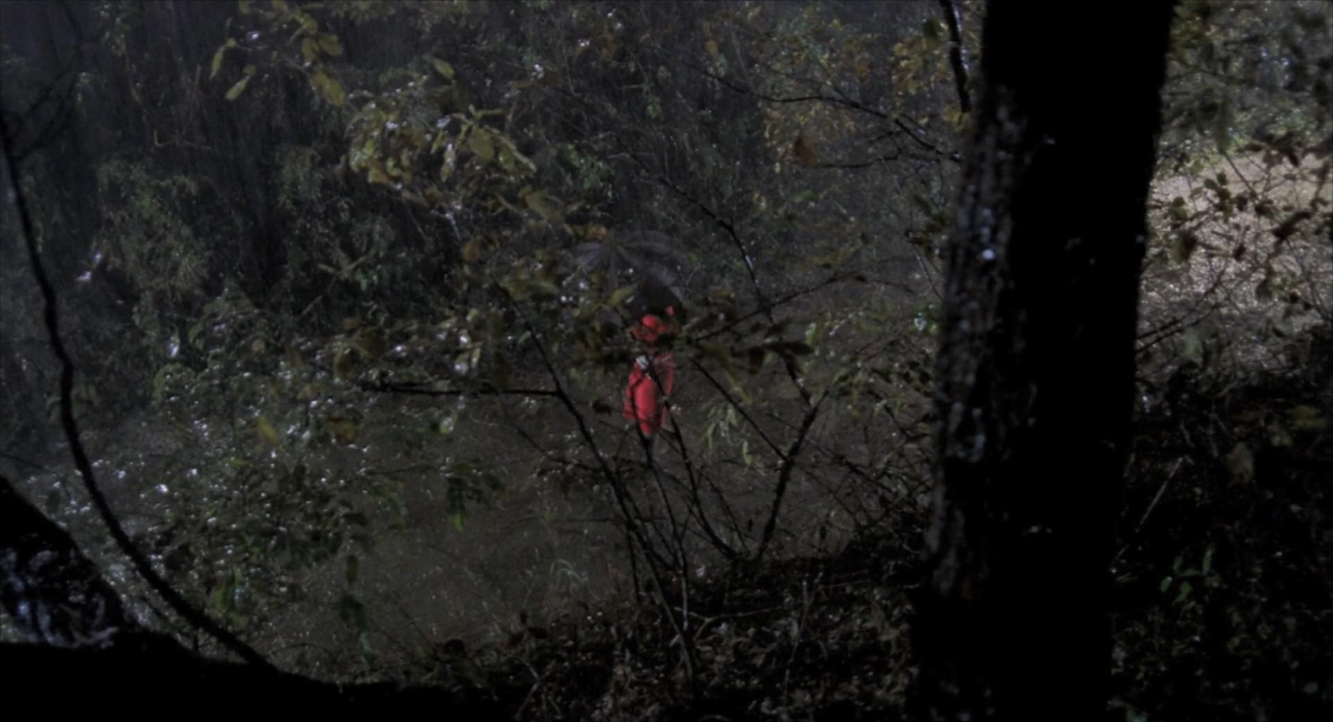 观影：5年里10名女子受害，仅1人幸存，良心警察被逼成*力暴**狂