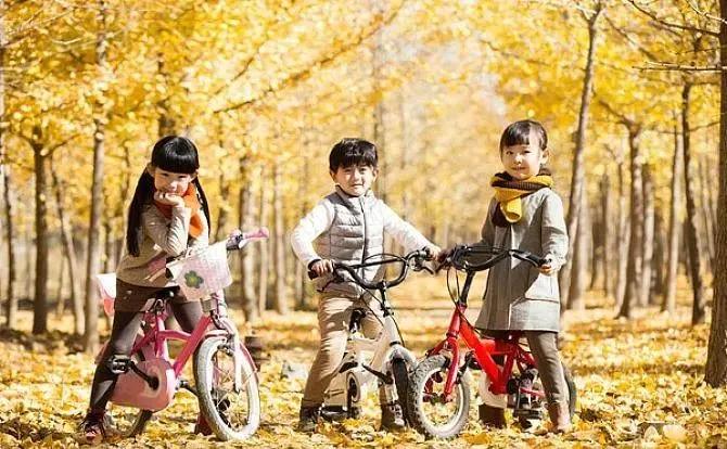 养了四年神兽，我买了这几辆车，很值