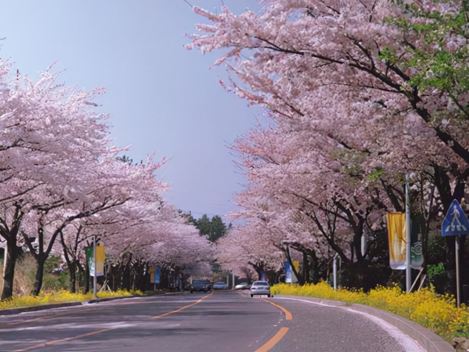 韩国签证商务签办理条件最新,2021韩国五年多次往返签证新政策