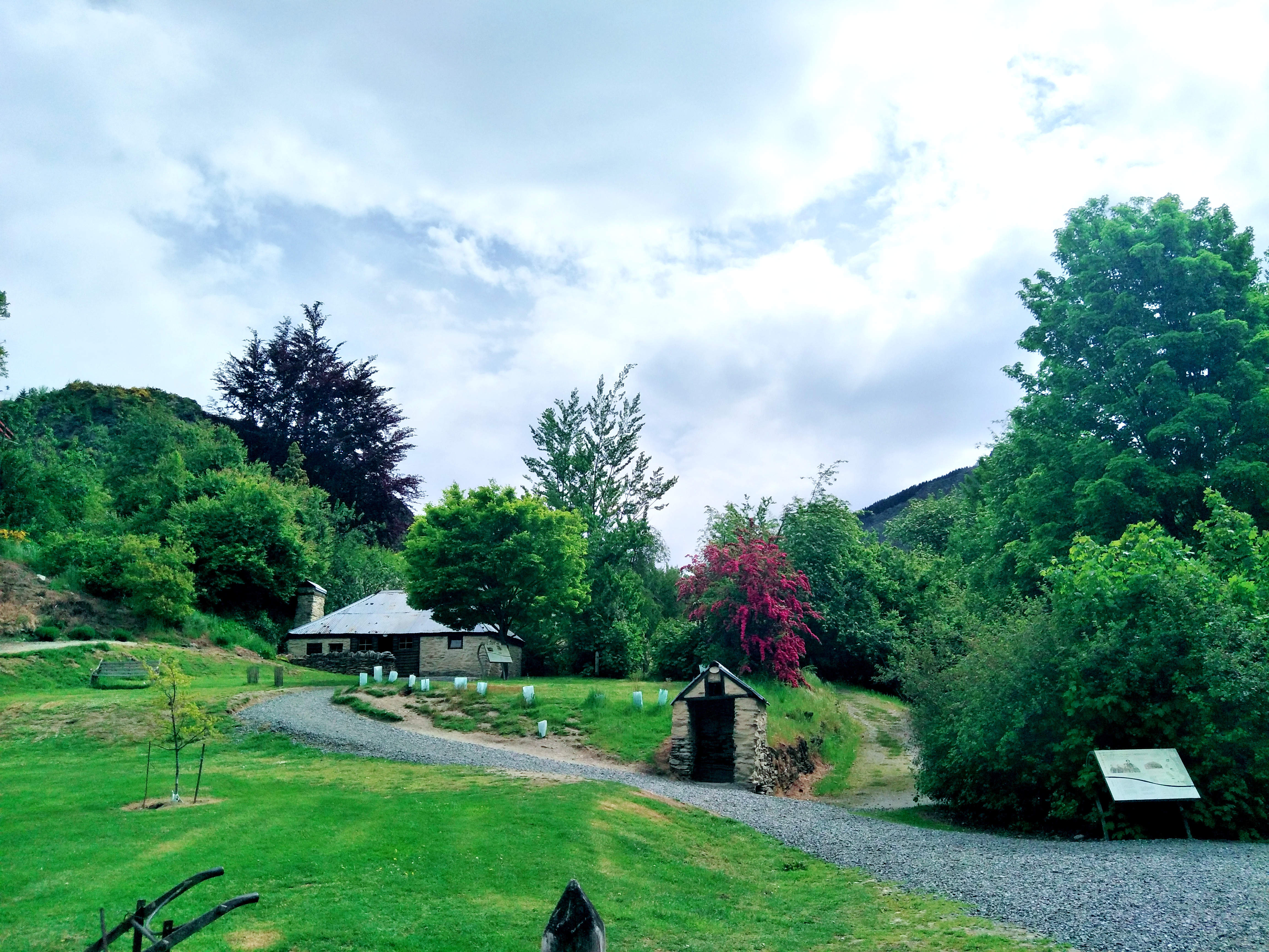 魔戒取景地新西兰森林,新西兰指环王取景地攻略