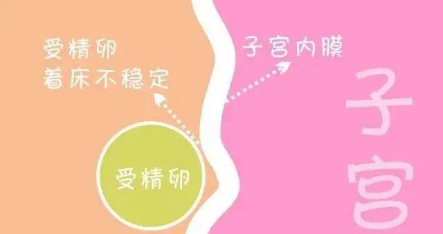 子宫内膜薄卵巢功能不好怎么调理,子宫内膜薄吃中药还是西药调理好