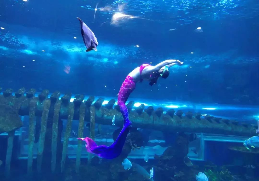 不出西安一日游必去免费景点,不出西安五一值得去的地方