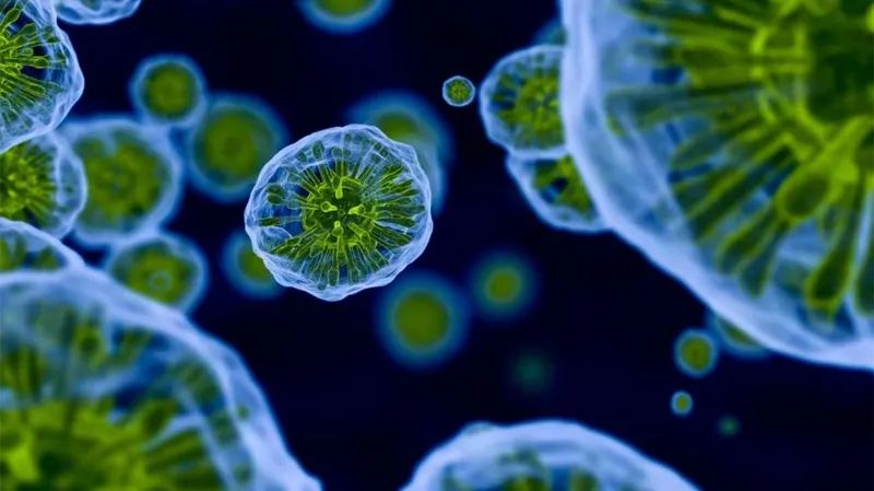 癌症最怕转移的4个方法,癌症是如何转移到大脑的