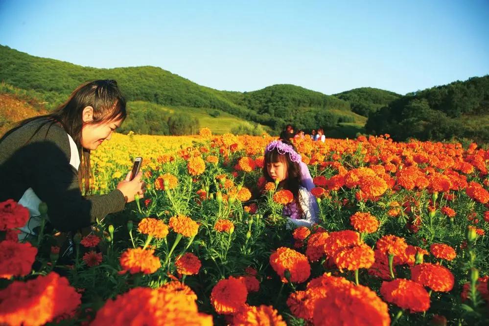 蛟河红叶谷航拍,蛟河红叶谷的图片