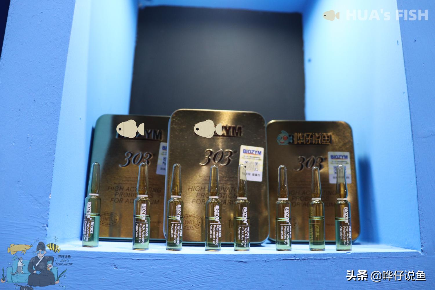 鱼缸怎么补充硝化细菌,如何让鱼缸产生硝化细菌