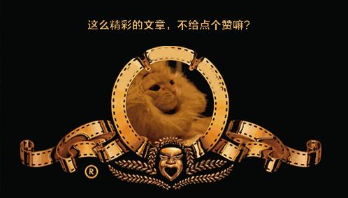 土狗再忠心也比不了宠物狗,为什么土狗越来越遭人嫌弃