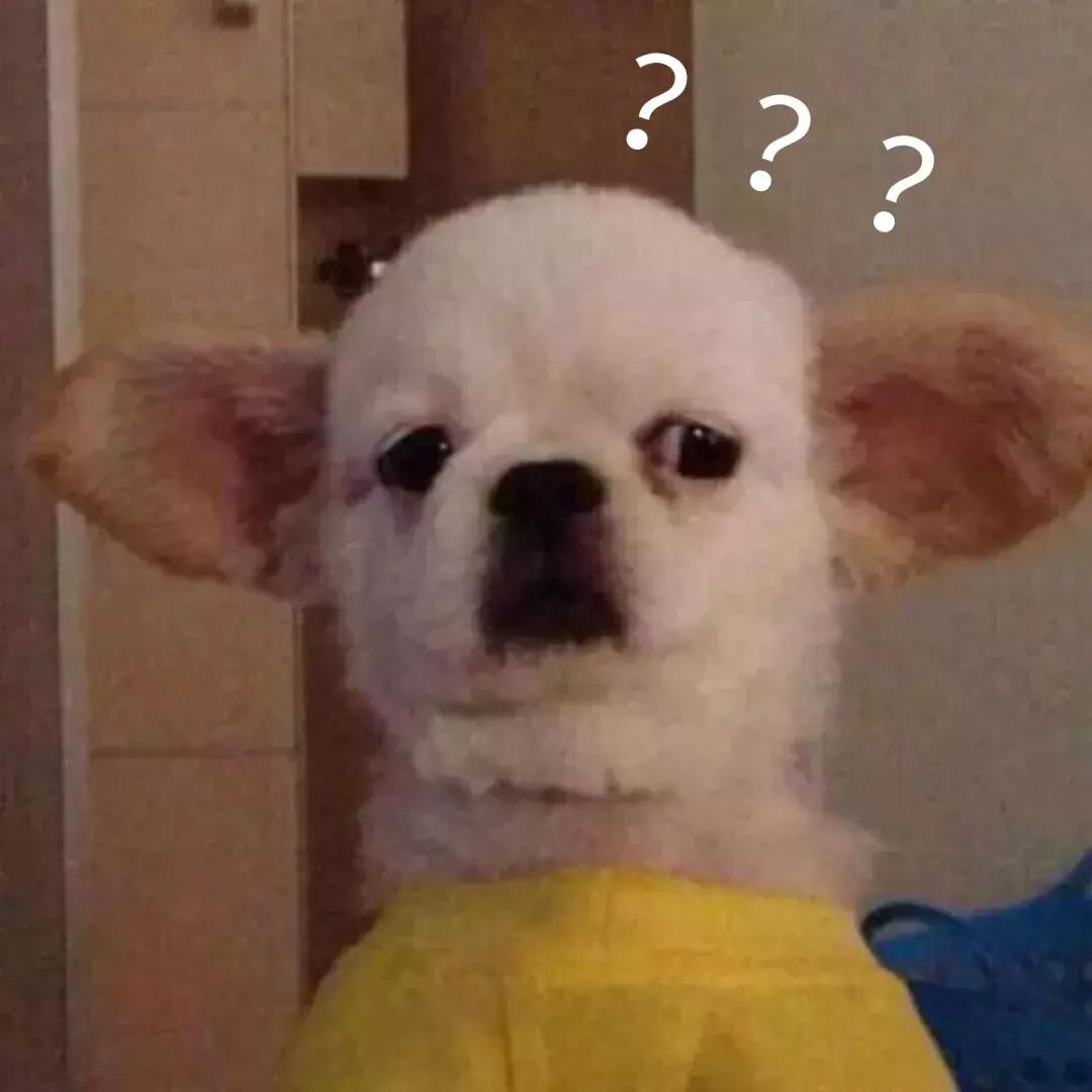 福懋宠物医院驱虫,福懋宠物医院母狗绝育