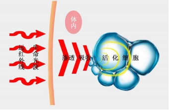杩滅孩澶栫嚎鐢熷懡涔嬪厜,鐢熷懡涔嬪厜杩滅孩澶栫嚎