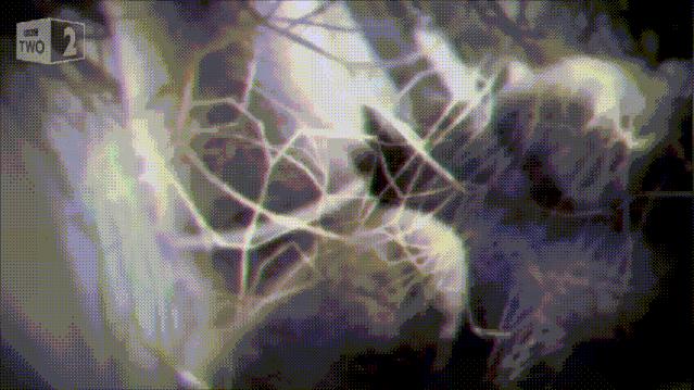 青春期身体长高办法有哪些,哪些青春期特征意味着停止长高