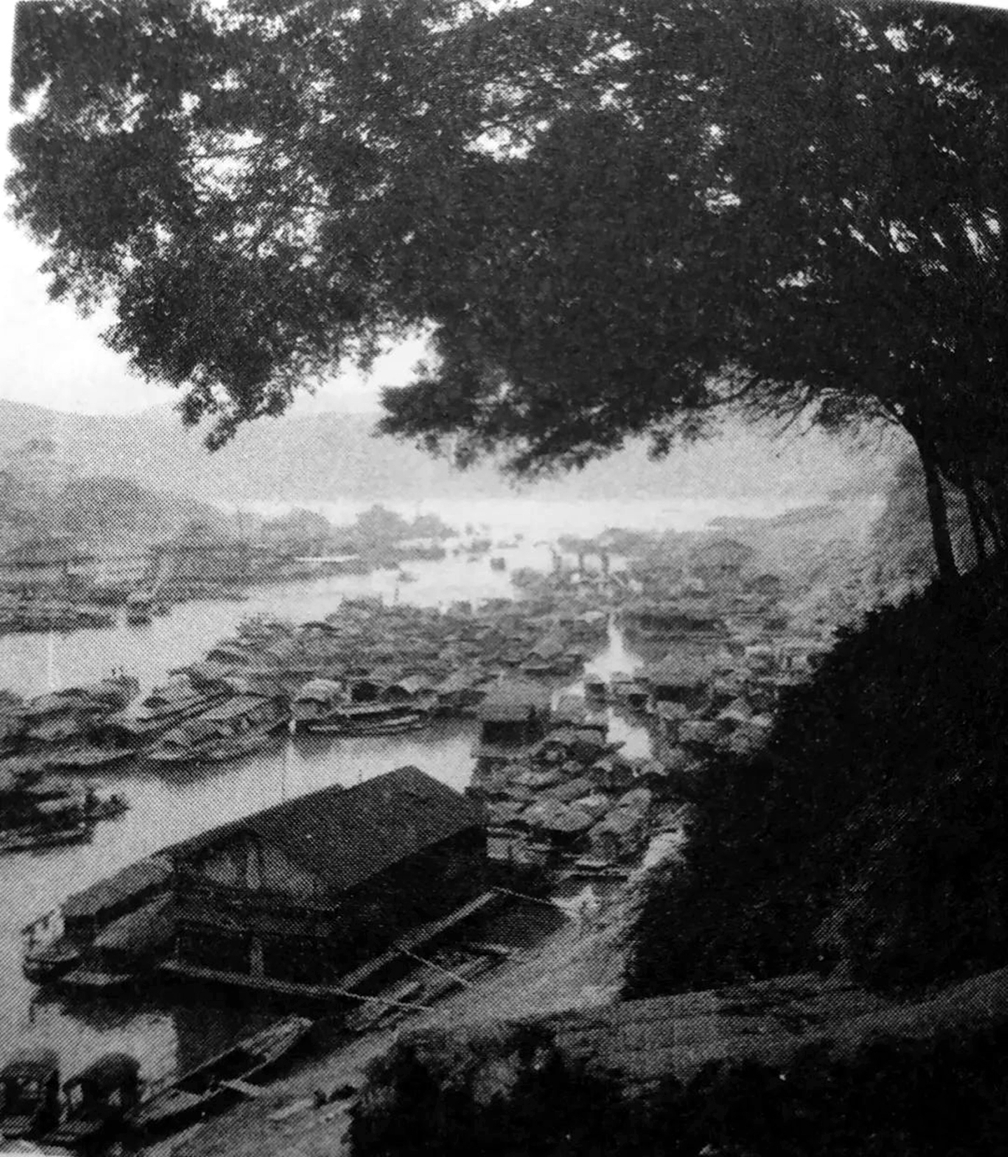 梧州百年商埠繁华景象,梧州曾经的辉煌历史