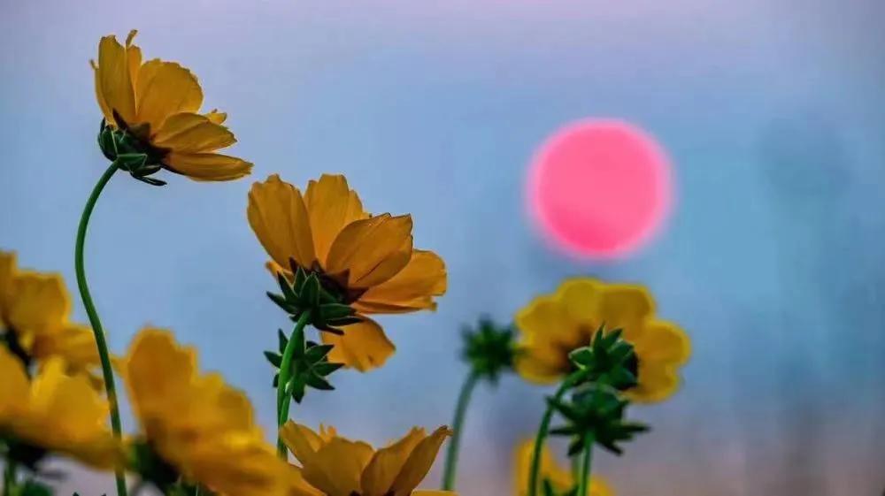 等一个人陪我去湛江,等一个人陪我去旅游