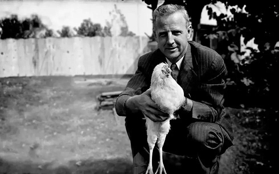 十年不吃不动还能存活的动物,可能还幸存的十大动物