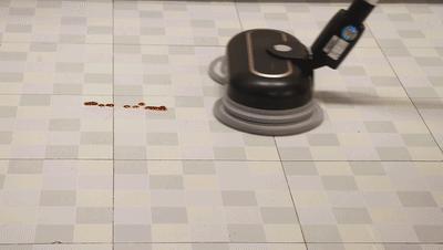 一口气丢了6个鸡肋拖把,我终于收获了舔地级干净