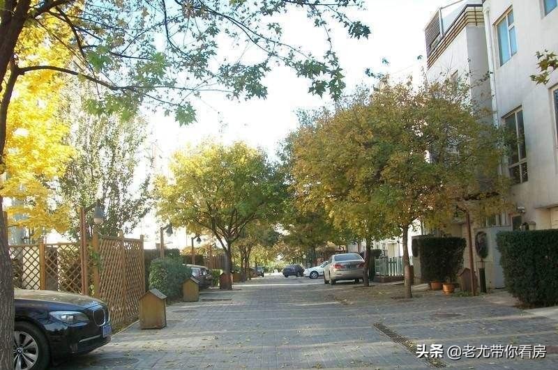 东南四环买房,东南四环内别墅