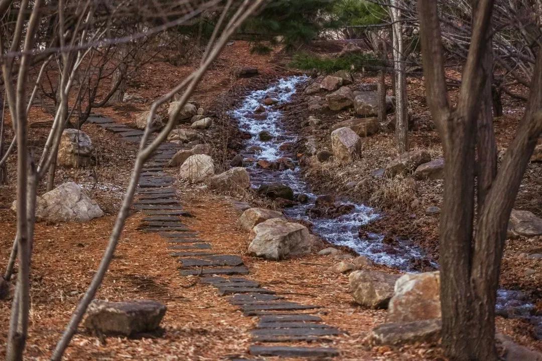 辽宁省重点大学沈阳航空航天,沈阳航空航天大学在辽宁省提前批