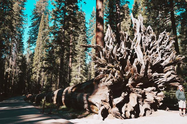 优胜美地的酋长岩,优山美地公园酋长岩